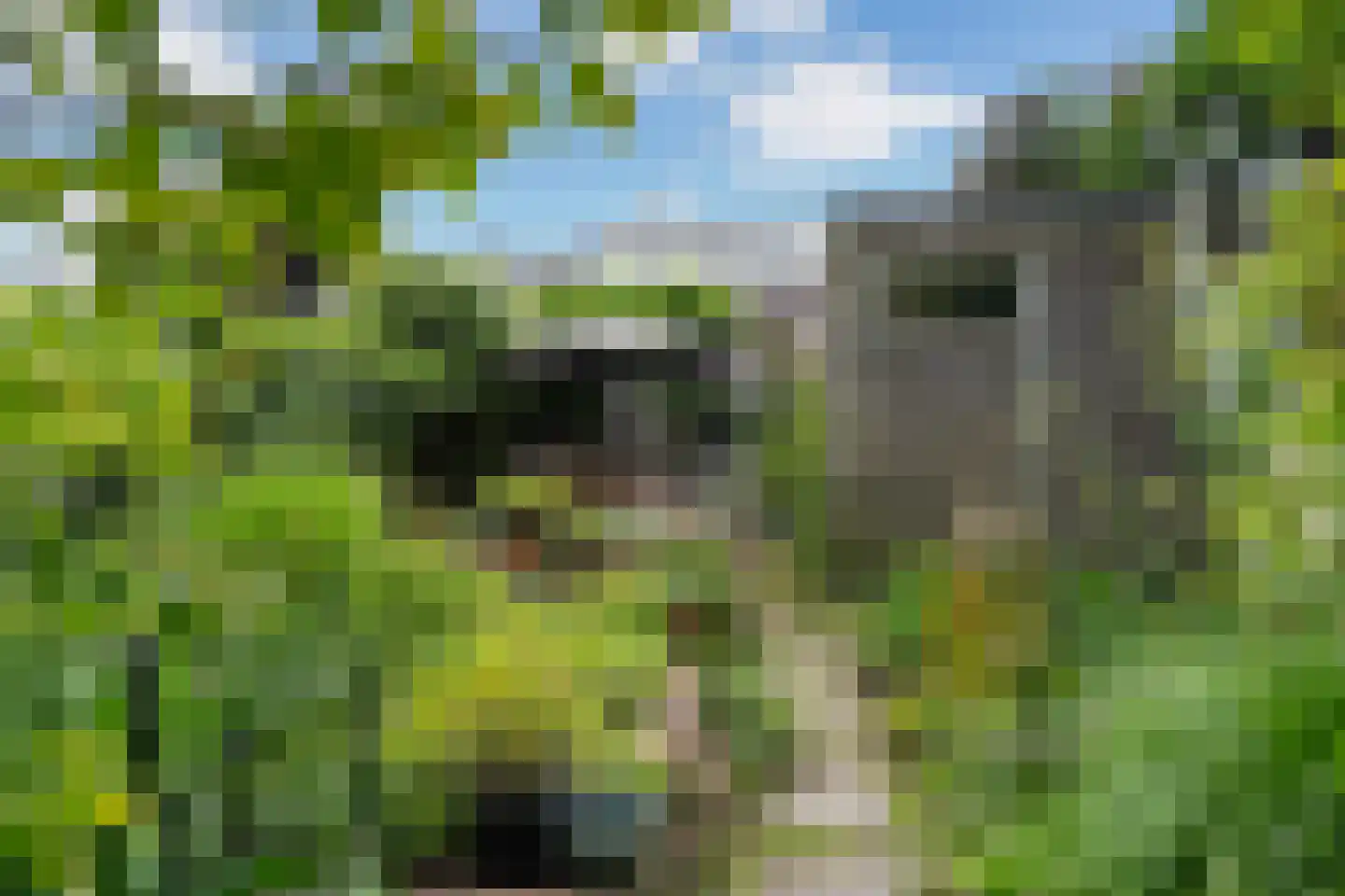 Uniawei 21 Stiens thumbnail 34