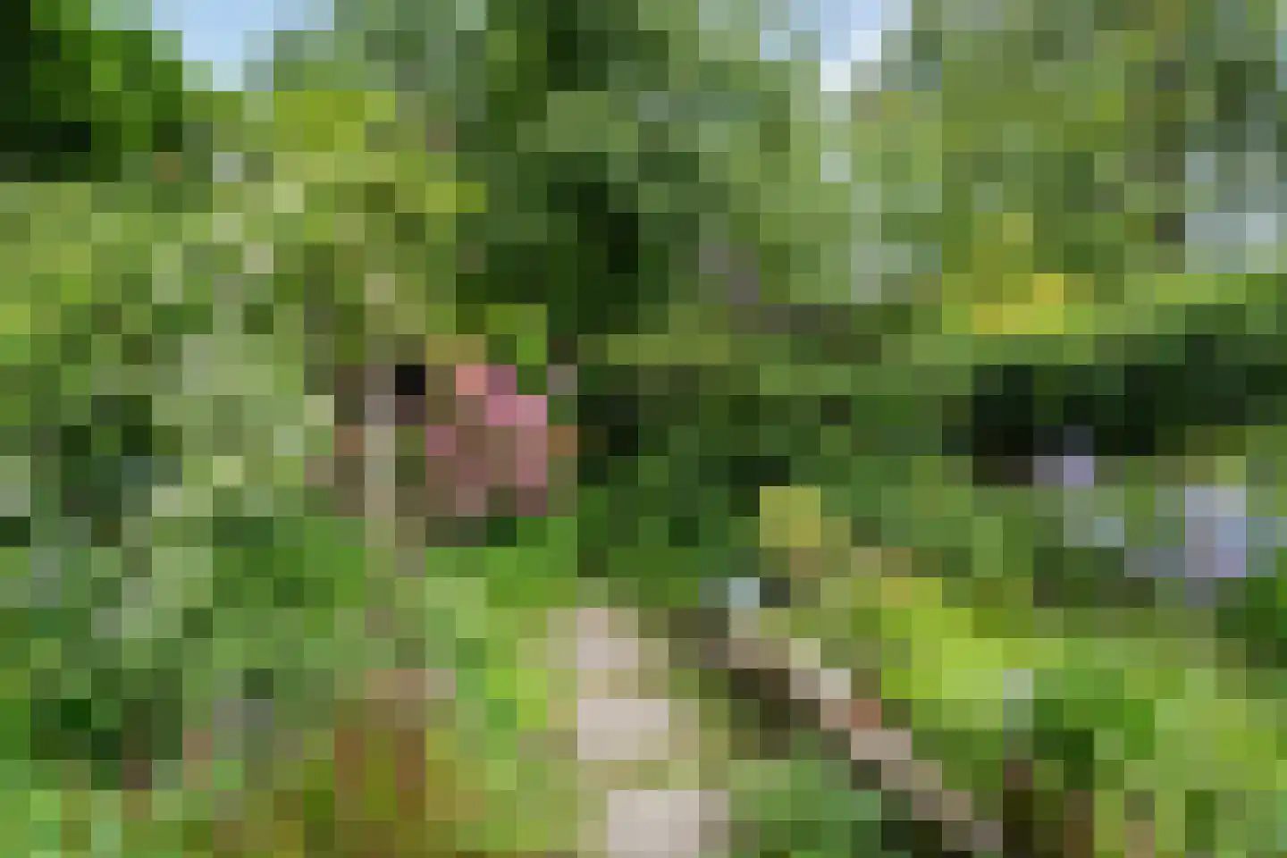 Uniawei 21 Stiens thumbnail 35