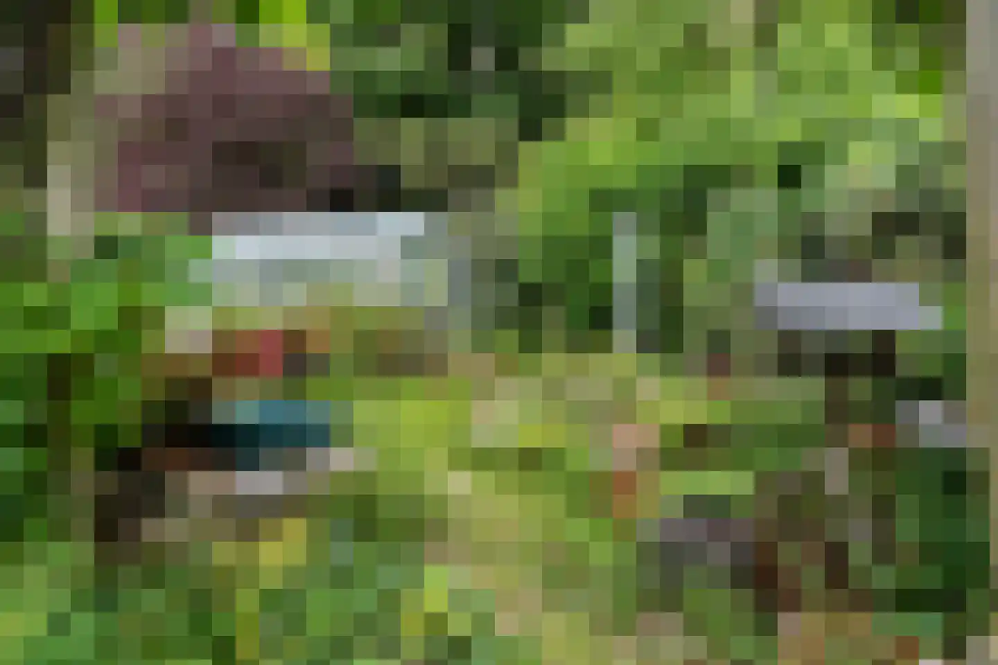 Uniawei 21 Stiens thumbnail 36