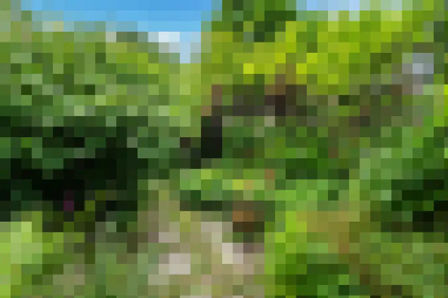 Uniawei 21 Stiens thumbnail 38