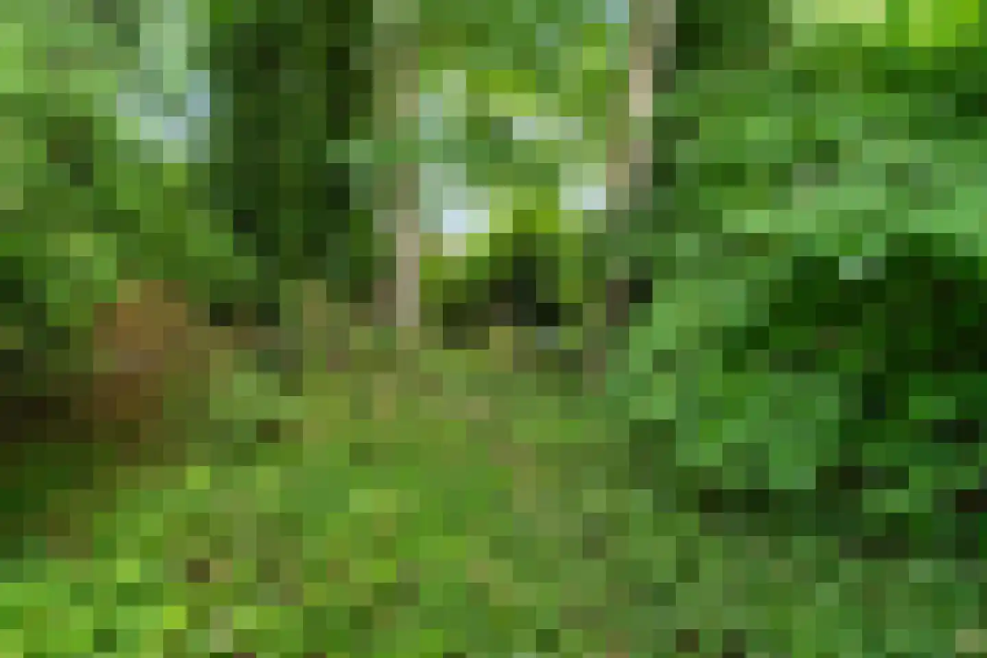 Uniawei 21 Stiens thumbnail 40
