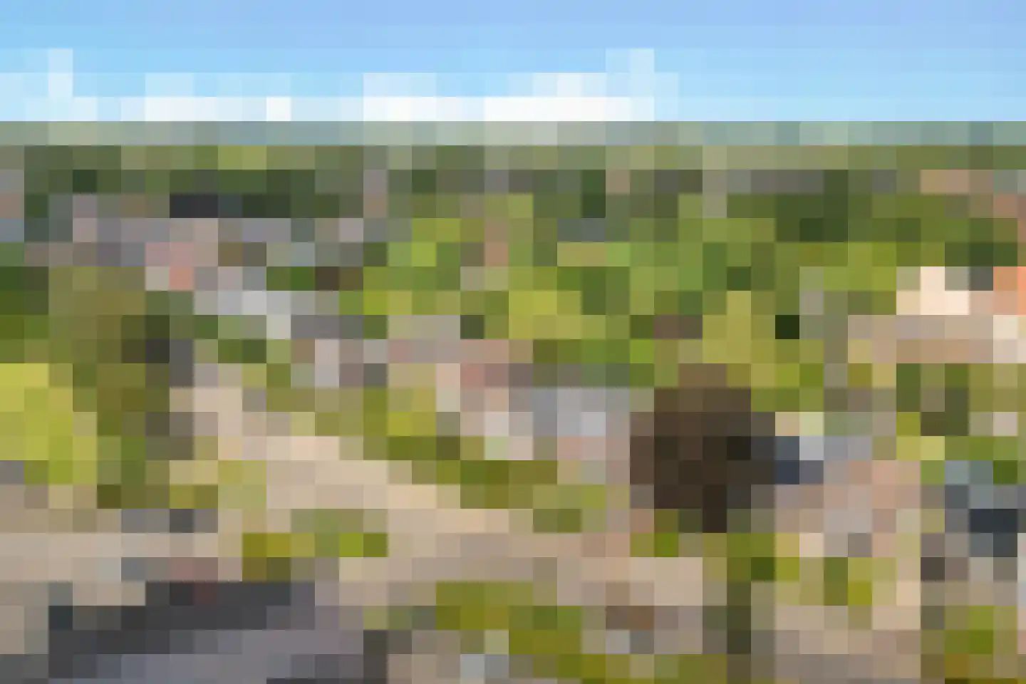 Uniawei 21 Stiens thumbnail 46