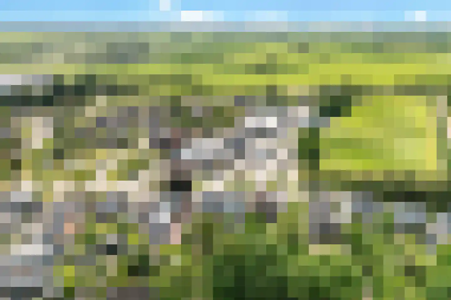 Uniawei 21 Stiens thumbnail 53