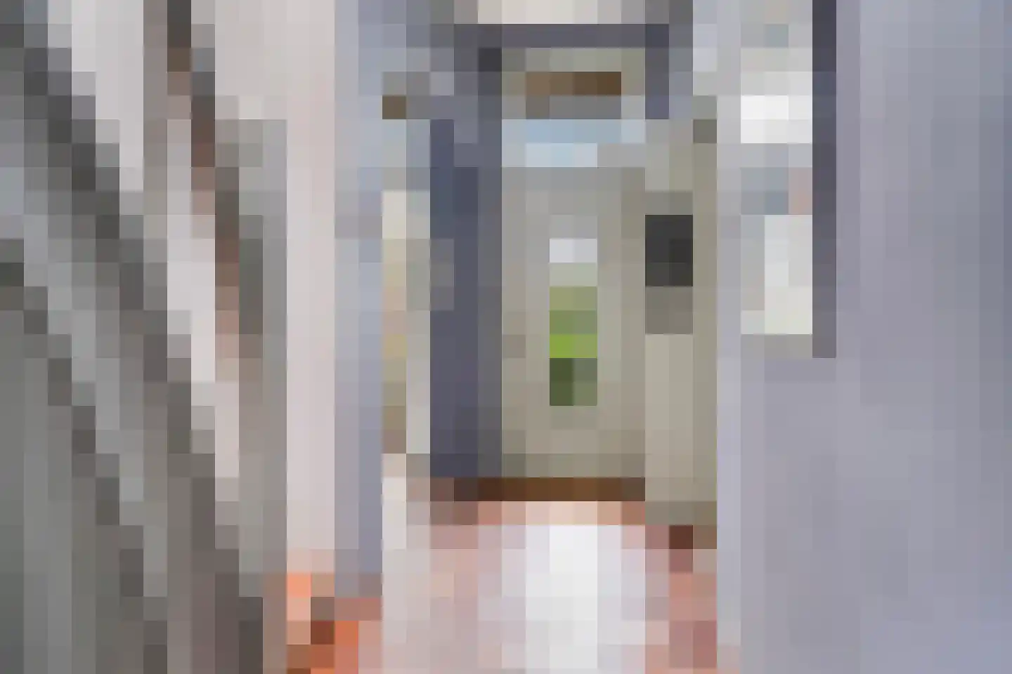Uniawei 21 Stiens thumbnail 6