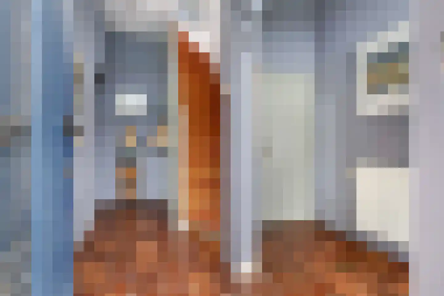 Uniawei 21 Stiens thumbnail 7