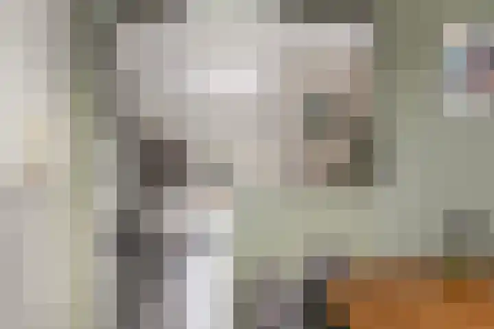 Uniawei 29 Stiens thumbnail 19
