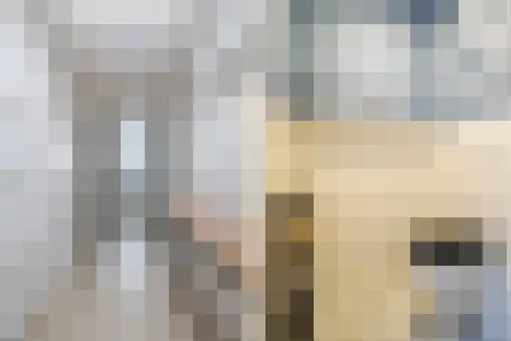 Uniawei 29 Stiens thumbnail 35