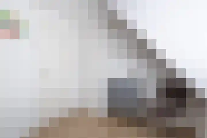 Uniawei 29 Stiens thumbnail 41