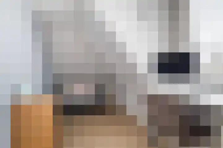 Uniawei 29 Stiens thumbnail 42