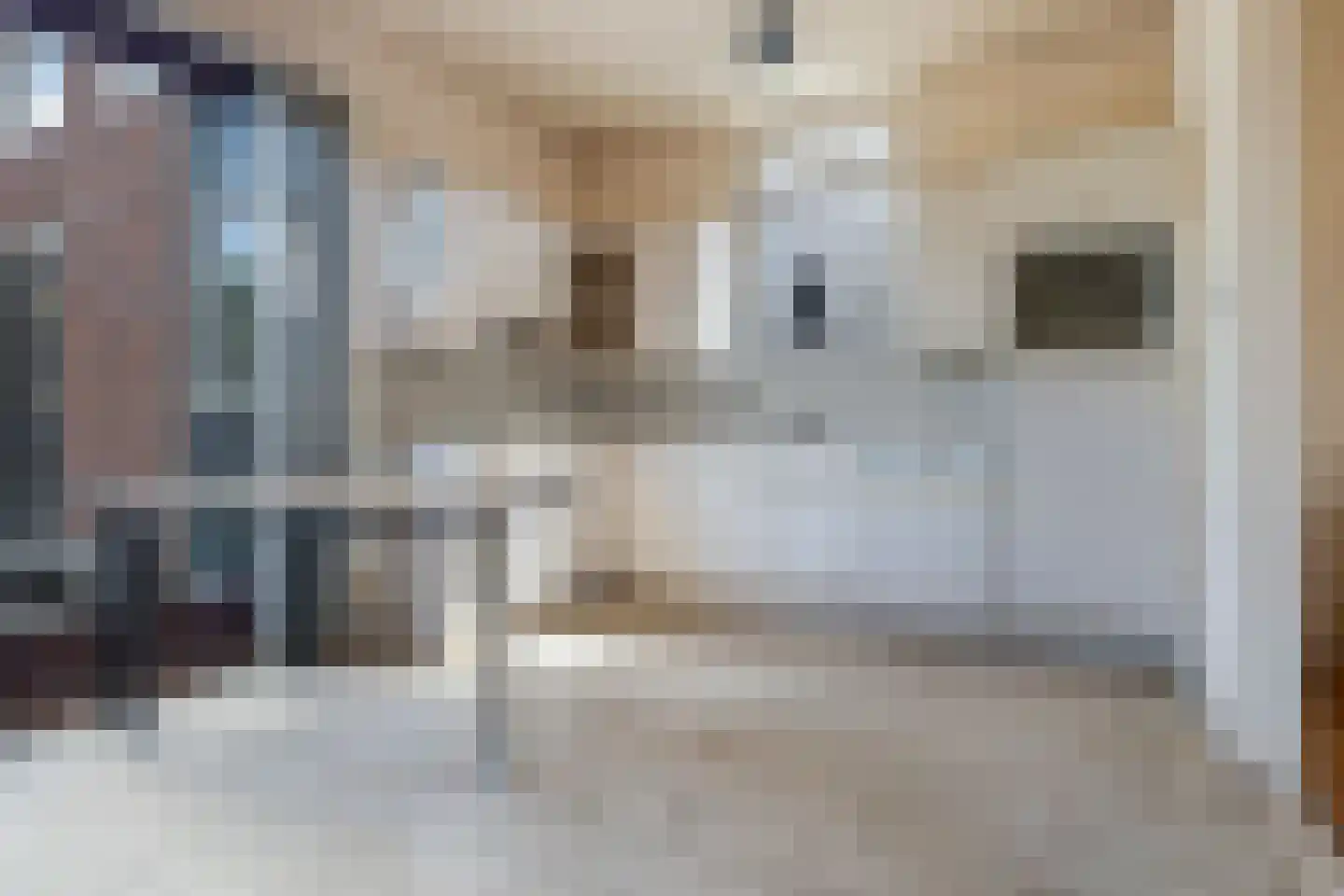 Uniawei 39 Stiens thumbnail 12