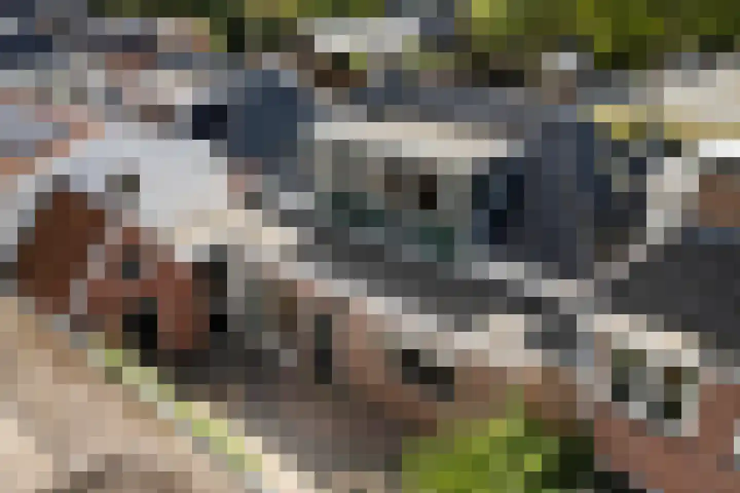 Uniawei 39 Stiens thumbnail 39