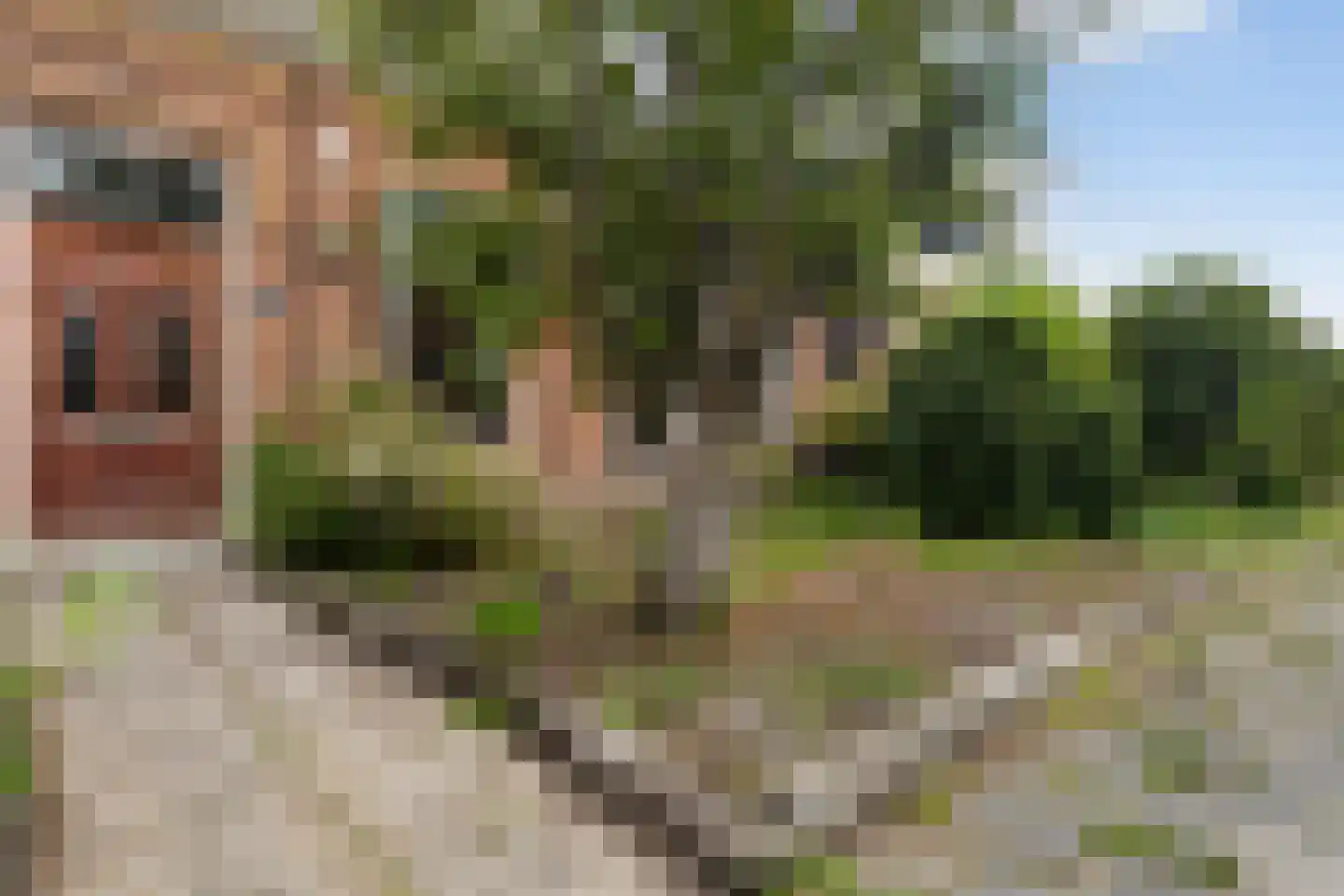 Uniawei 39 Stiens thumbnail 59