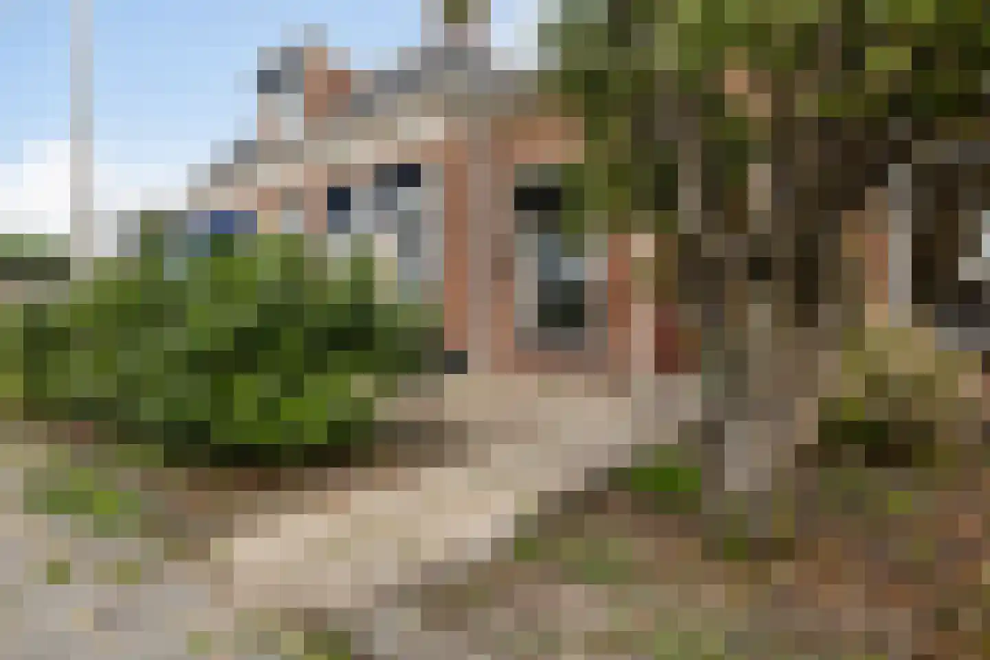 Uniawei 39 Stiens thumbnail 60