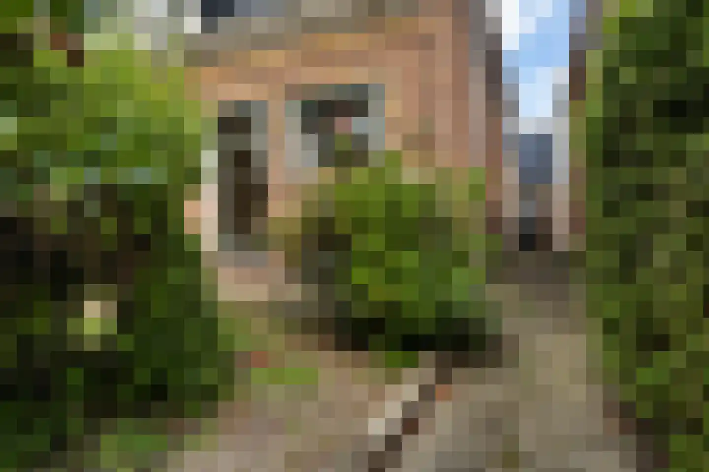 Uniawei 39 Stiens thumbnail 61
