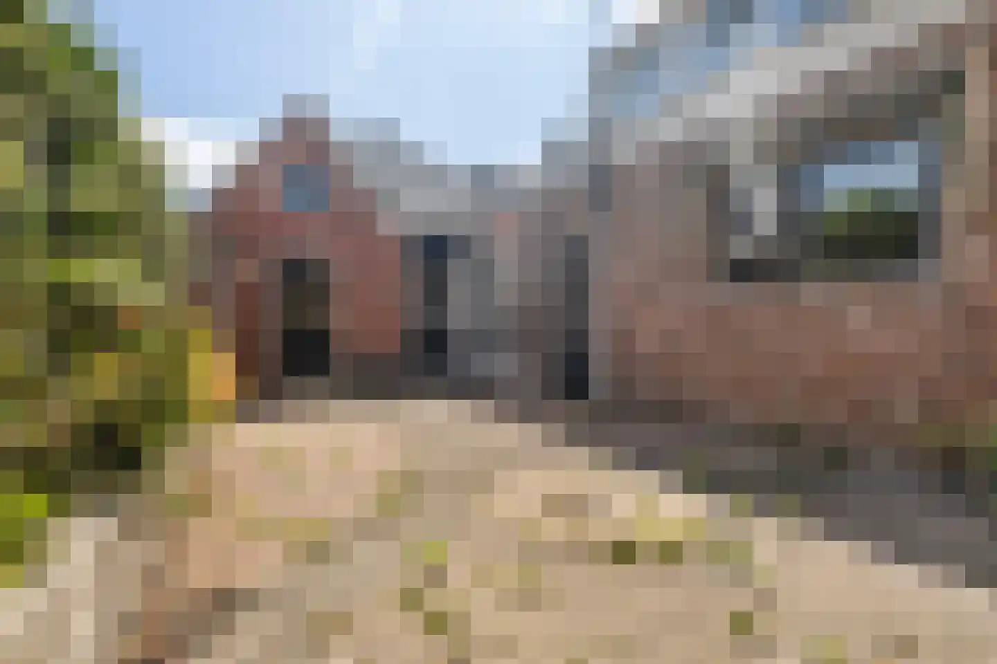 Uniawei 39 Stiens thumbnail 64