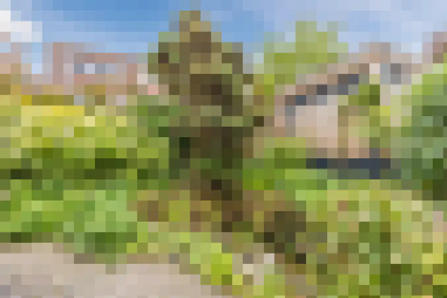 Uniceflaan 23 Hellevoetsluis thumbnail 37