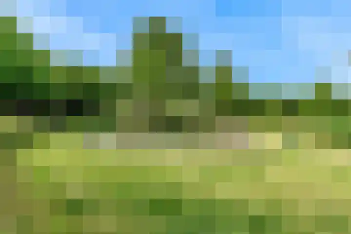 Uniceflaan 30 Hellevoetsluis thumbnail 48