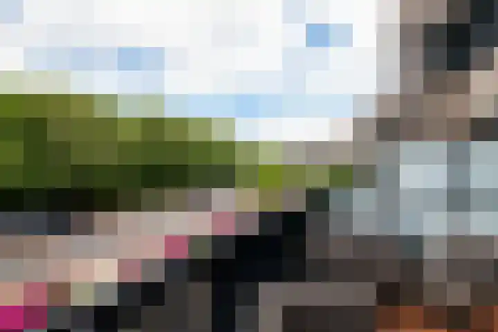 Uniceflaan 32 Hellevoetsluis thumbnail 18