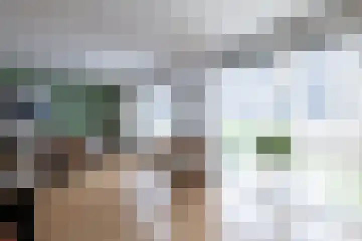 Uniceflaan 32 Hellevoetsluis thumbnail 22