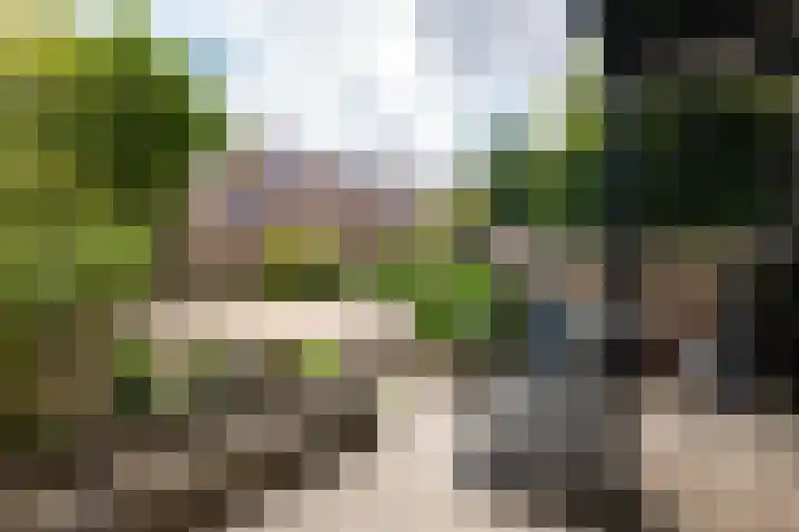 Uniceflaan 32 Hellevoetsluis thumbnail 4