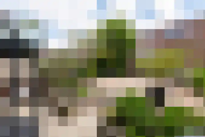 Uniceflaan 32 Hellevoetsluis thumbnail 5