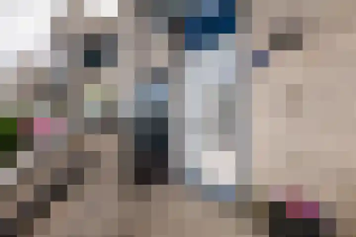 Uniceflaan 32 Hellevoetsluis thumbnail 9