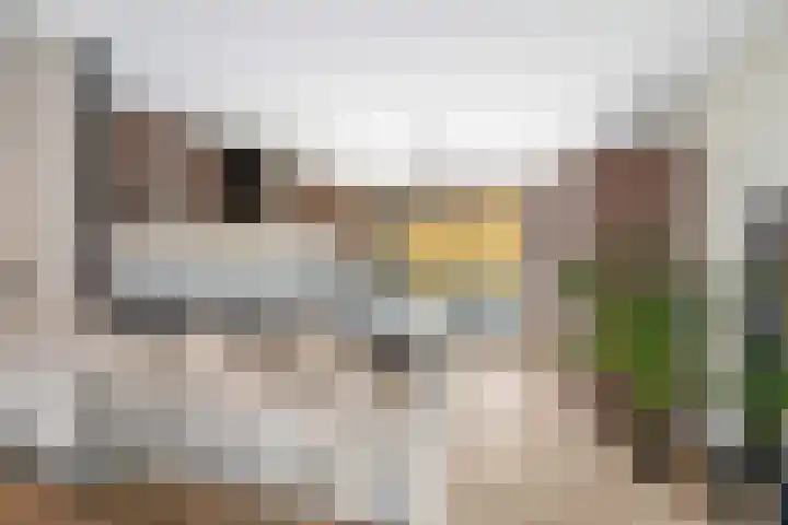 Uniceflaan 4 Hellevoetsluis thumbnail 15