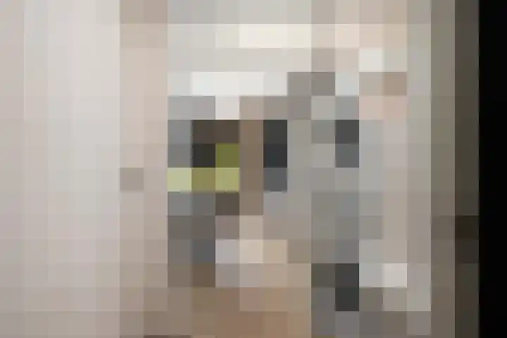 Uniceflaan 4 Hellevoetsluis thumbnail 23