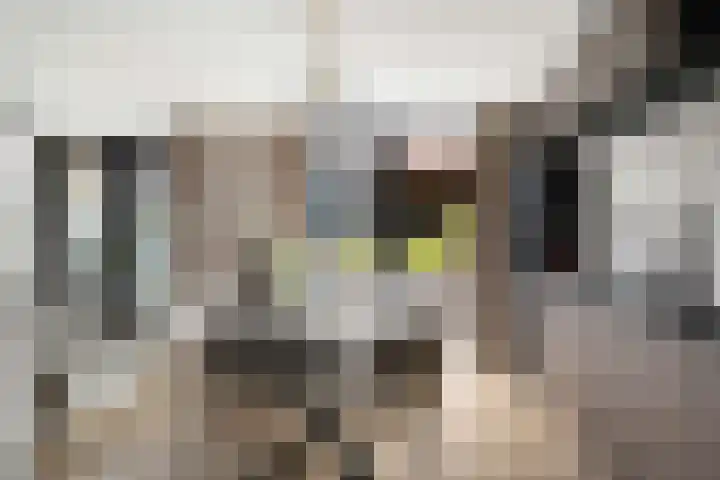Uniceflaan 4 Hellevoetsluis thumbnail 27