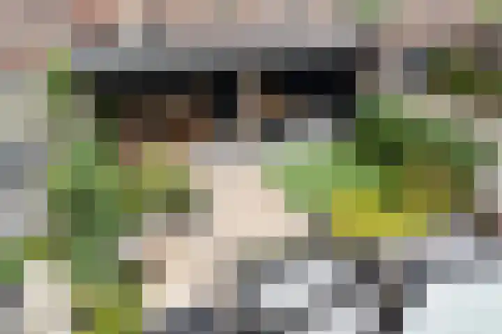 Uniceflaan 4 Hellevoetsluis thumbnail 4