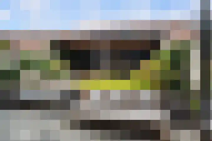 Uniceflaan 4 Hellevoetsluis thumbnail 40