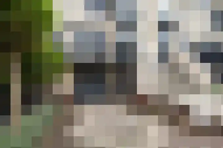 Uniceflaan 4 Hellevoetsluis thumbnail 45