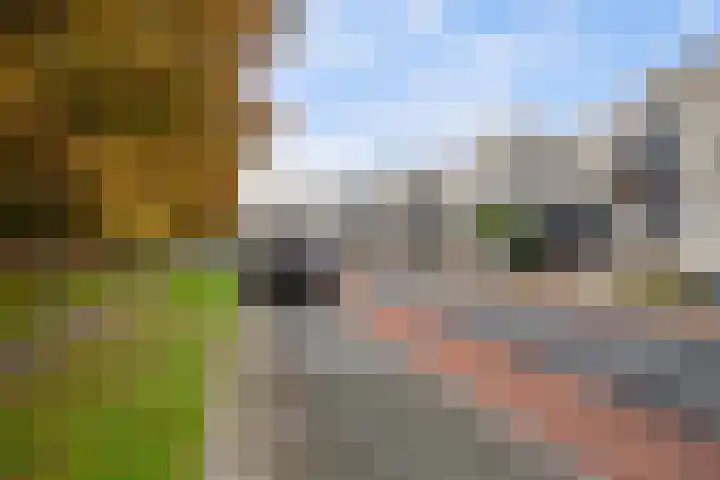 Uniceflaan 4 Hellevoetsluis thumbnail 46