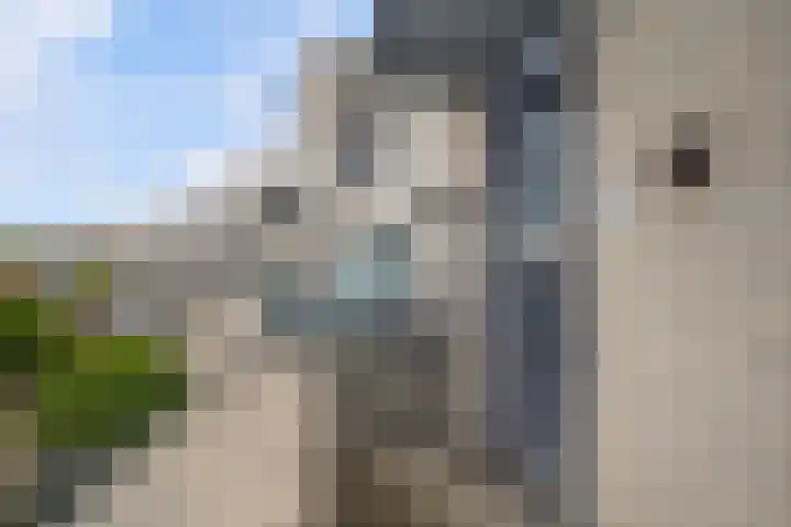 Uniceflaan 4 Hellevoetsluis thumbnail 6