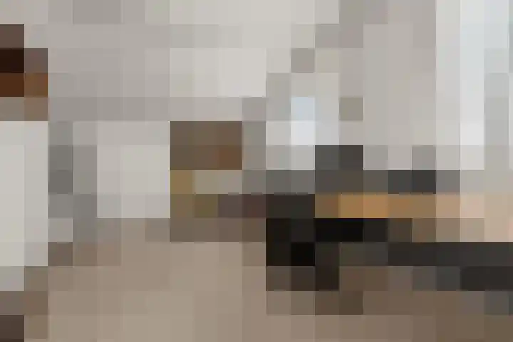 Uniceflaan 49 Nijmegen thumbnail 17