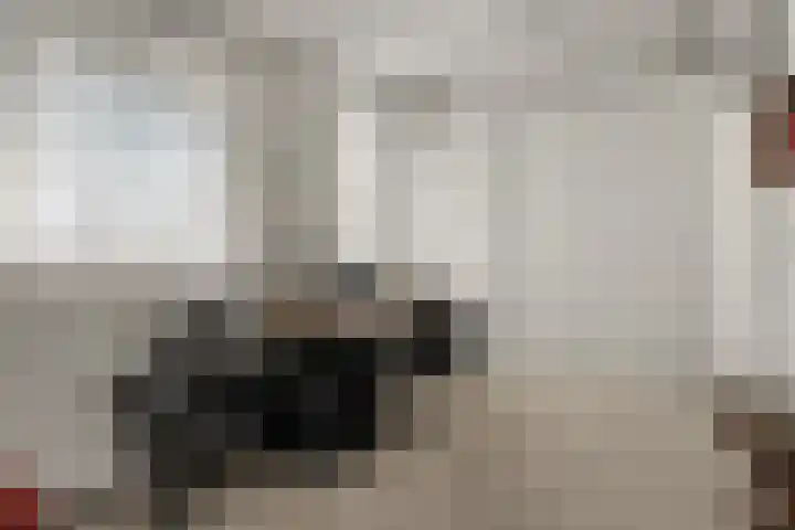 Uniceflaan 49 Nijmegen thumbnail 18