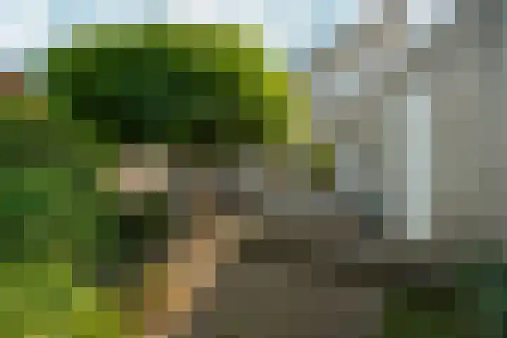 Uniceflaan 49 Nijmegen thumbnail 24