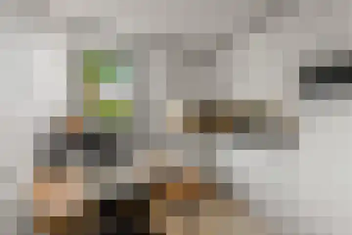 Uniceflaan 49 Nijmegen thumbnail 8