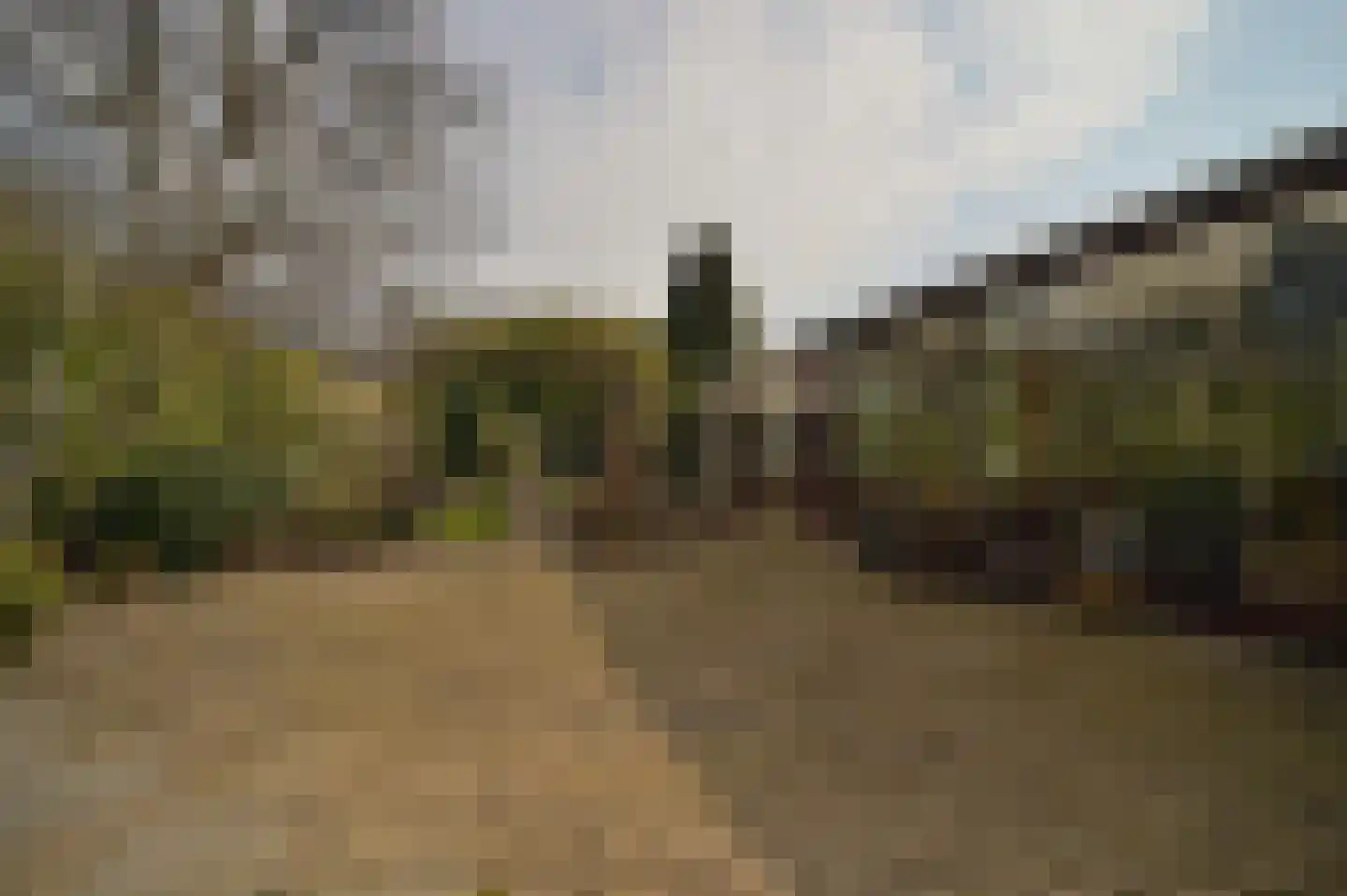 Unicefplantsoen 18 Heerlen thumbnail 23