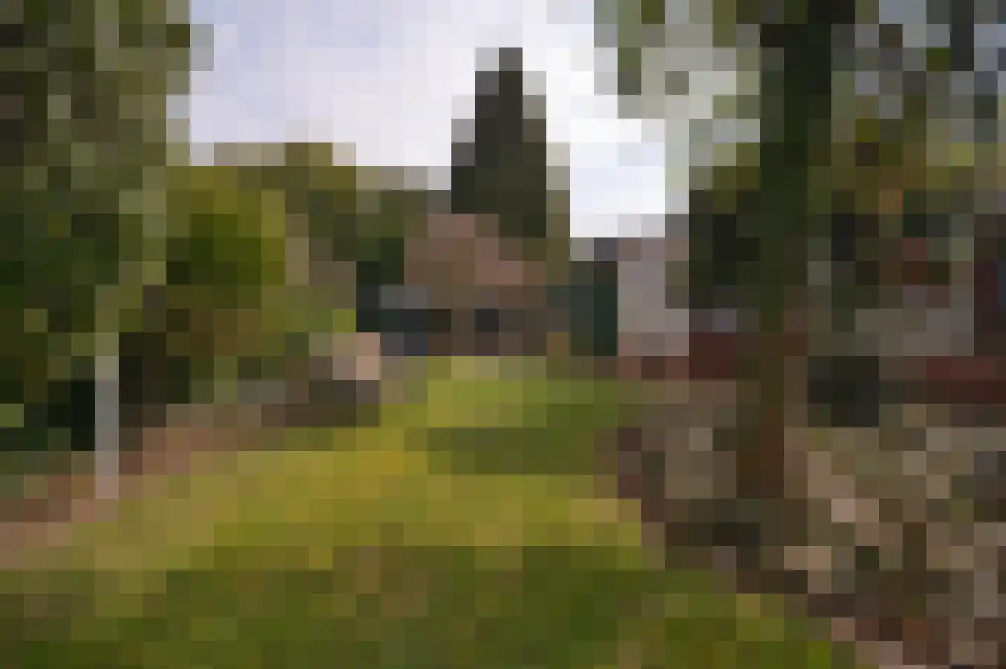 Unicefplantsoen 18 Heerlen thumbnail 25