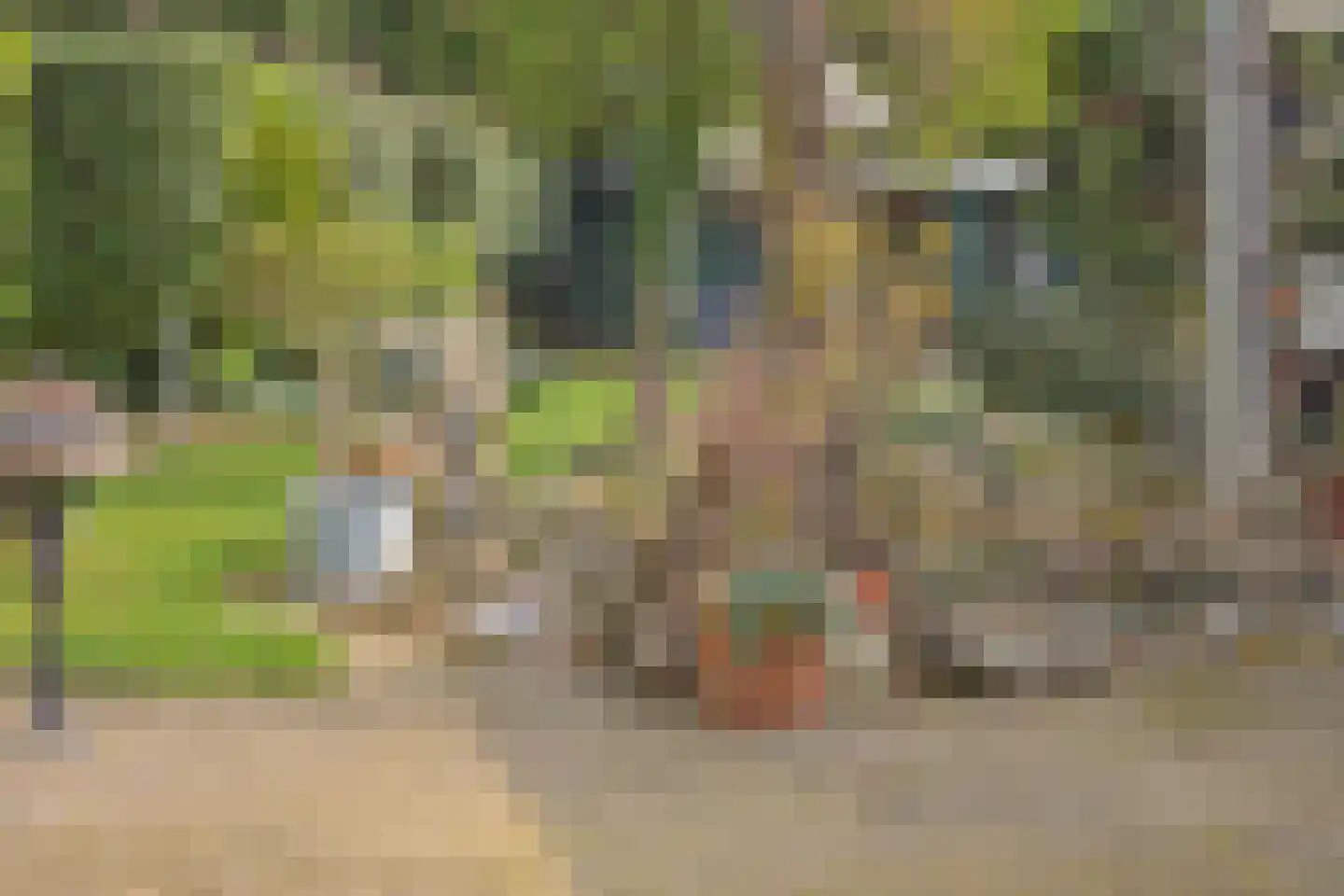 Unicefplantsoen 18 Heerlen thumbnail 26