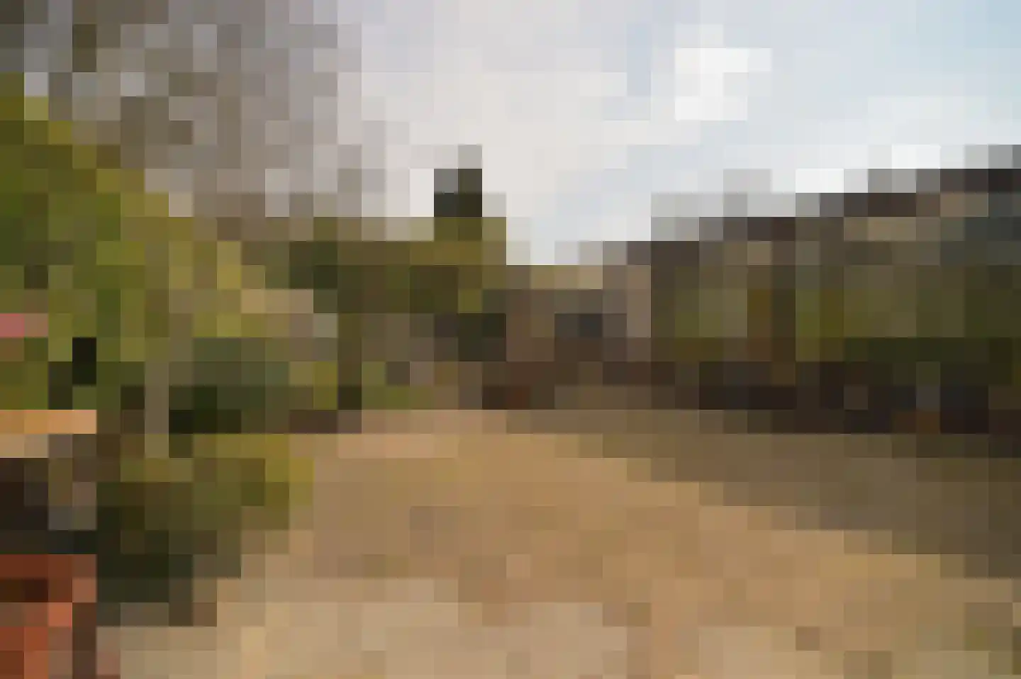 Unicefplantsoen 18 Heerlen thumbnail 30