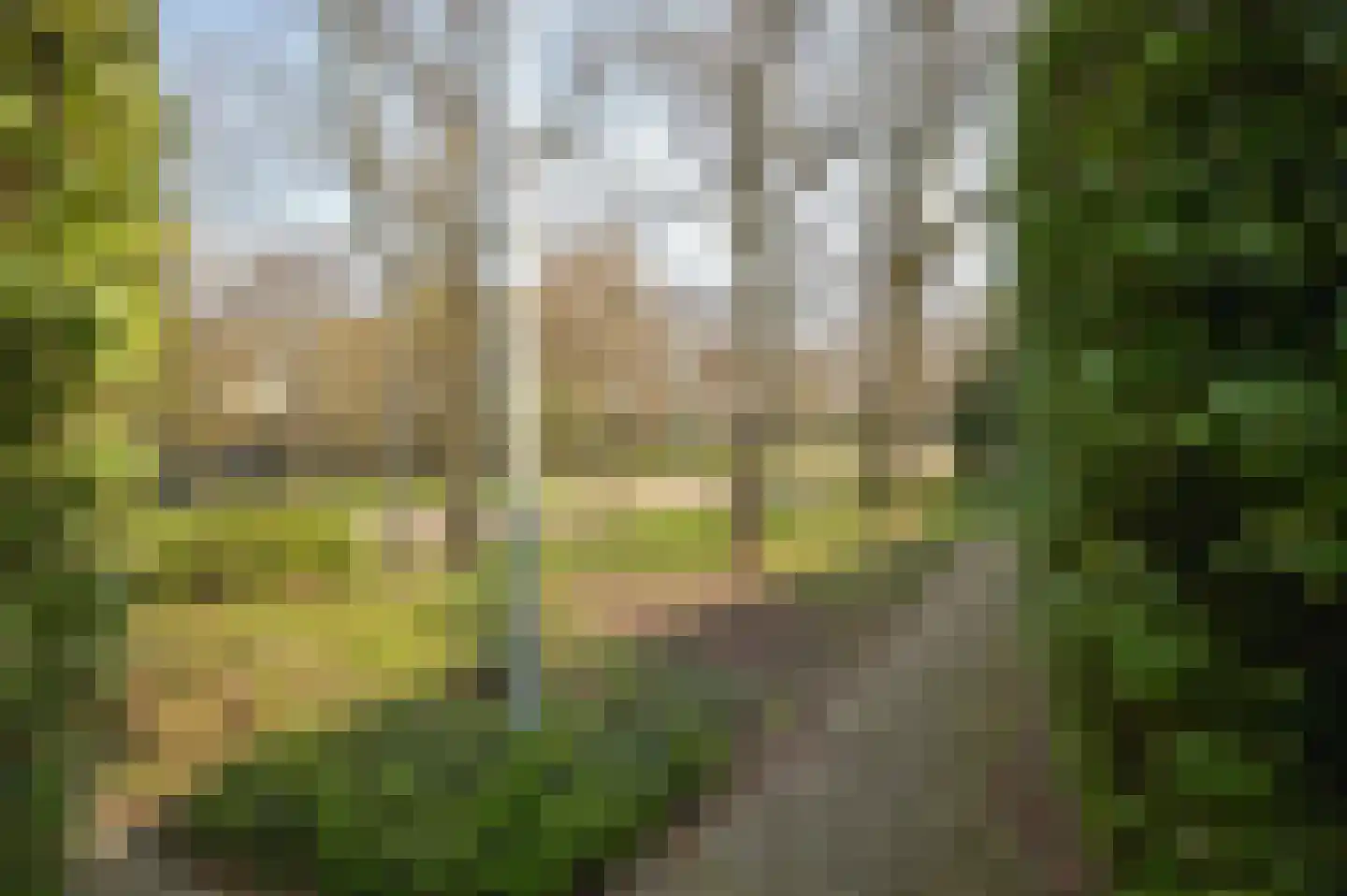 Unicefplantsoen 18 Heerlen thumbnail 35