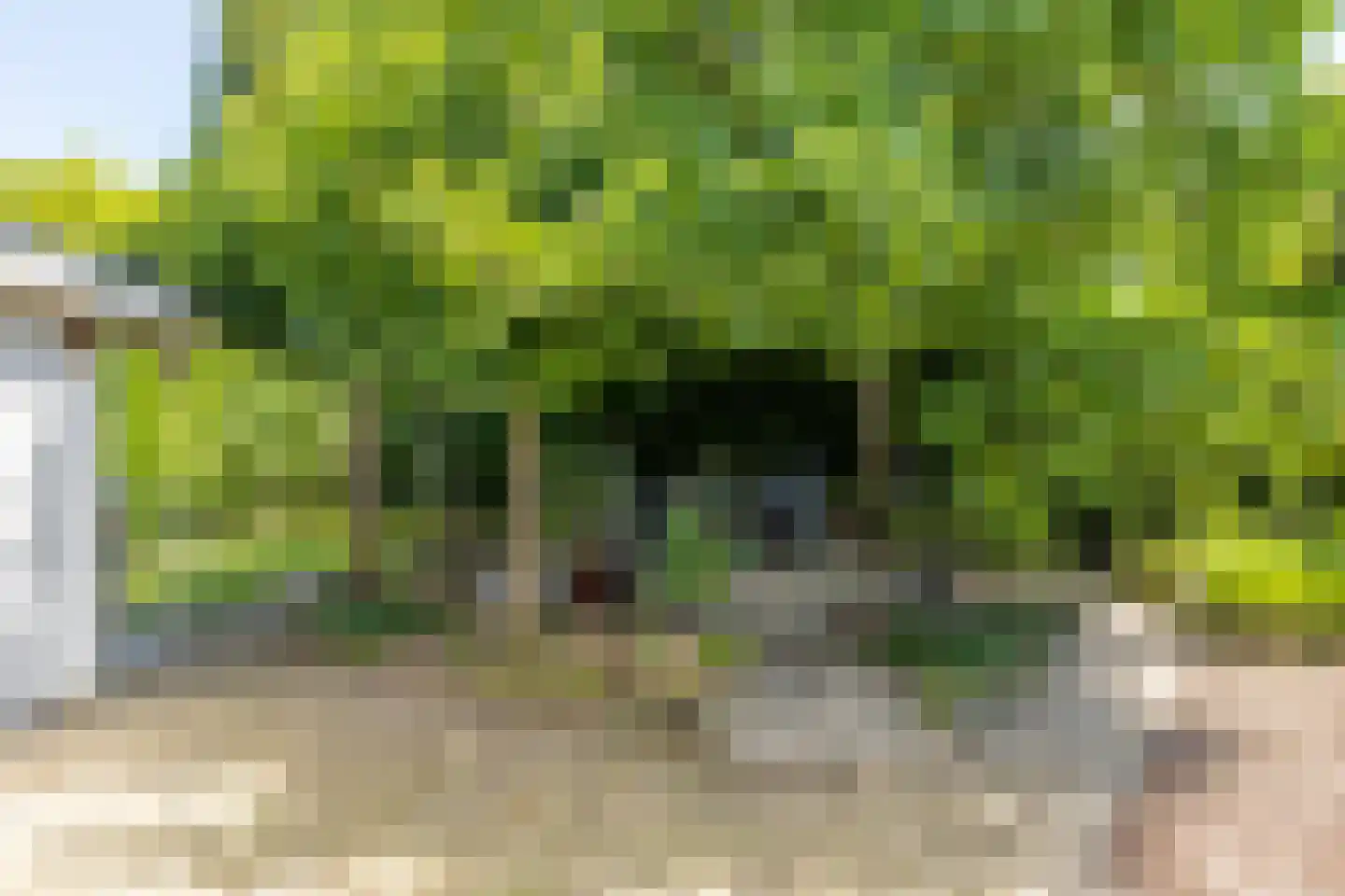 Unicefplantsoen 19 Heerlen thumbnail 32