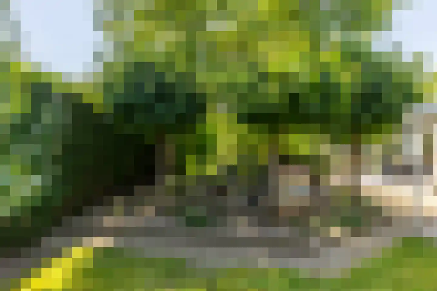 Unicefplantsoen 19 Heerlen thumbnail 34