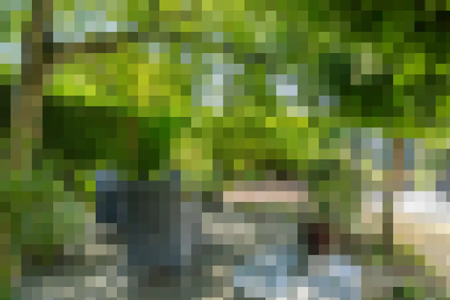 Unicefplantsoen 19 Heerlen thumbnail 35