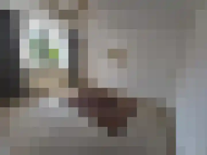 Unicefplantsoen 3 Heerlen thumbnail 18