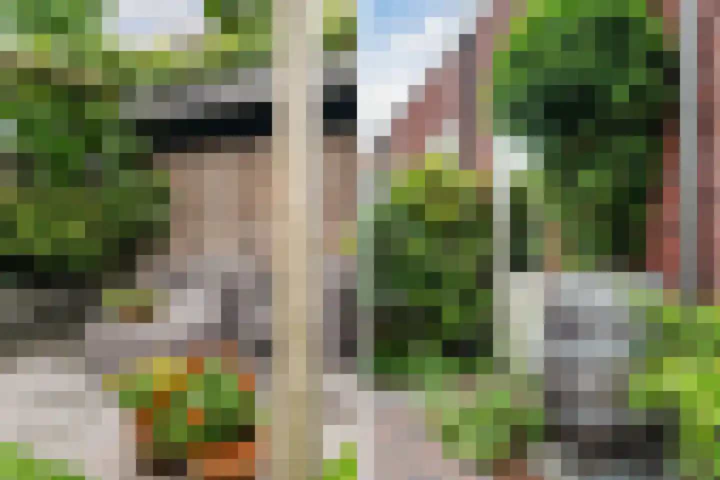 Unicefstraat 3 's-Gravenzande thumbnail 19
