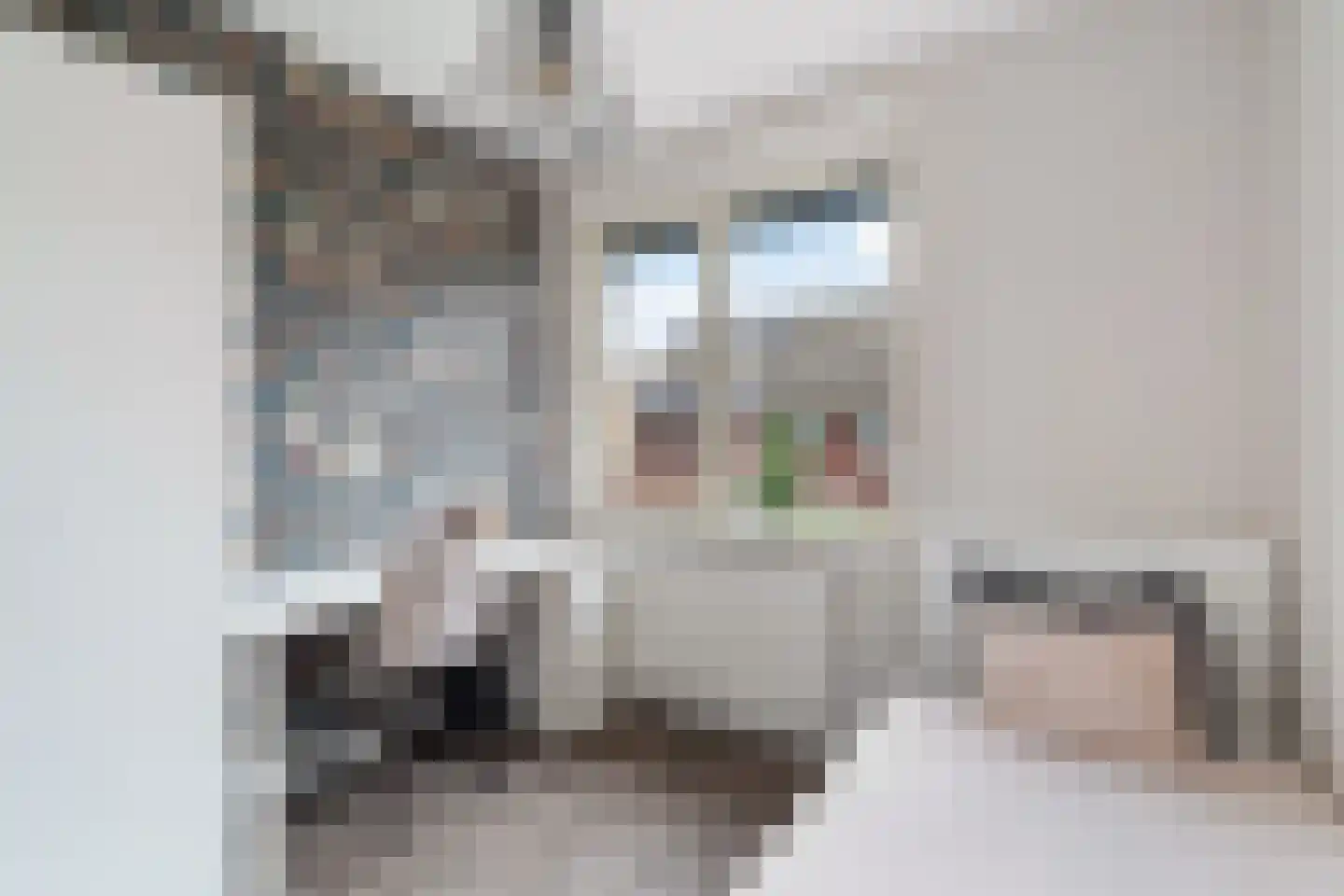 Unicefstraat 3 's-Gravenzande thumbnail 41
