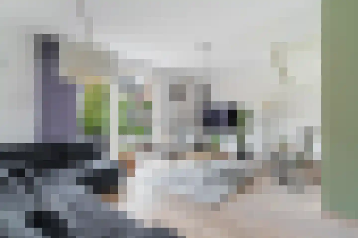 Unicefstraat 3 's-Gravenzande thumbnail 8